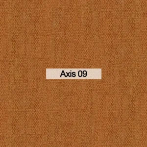 Axis 09