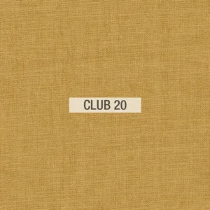Club 20
